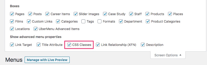 WordPress Screen Options - CSS Classes option